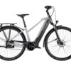 Bianchi T-Tronik T-Type ST Sunrace 9-Gang E6100 - Trapeze Elektro Trekking Bike 2022 | White-grey