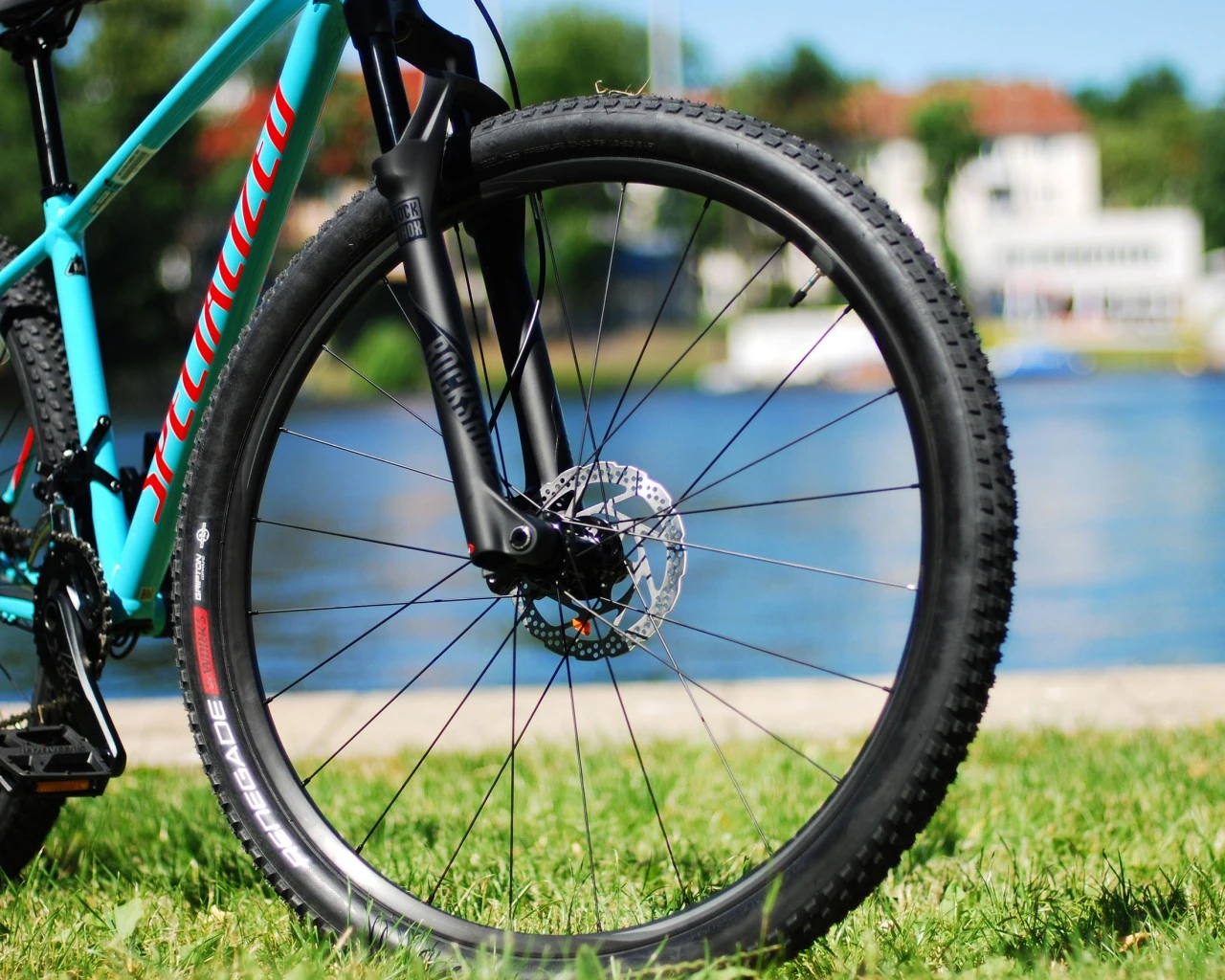 Specialized S-Works Renegade 2 Bliss MTB-Reifen 29 X 2.1 | Black – Bild 3