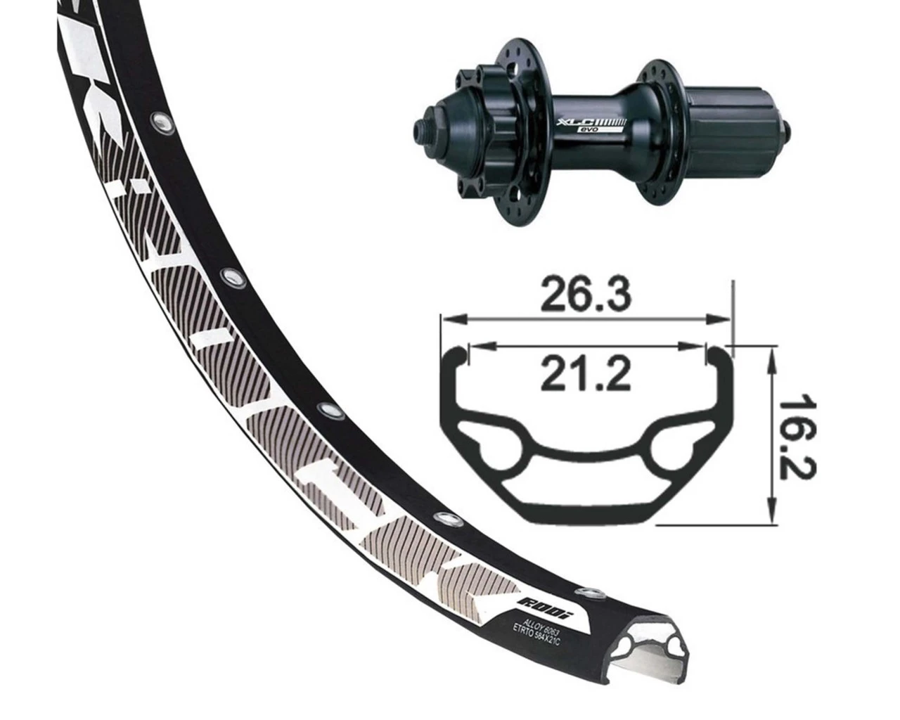 XLC Hinterrad 28/29 Zoll 8-10-fach Rotor D466 Black-Rock 6-Loch Disc | Schwarz